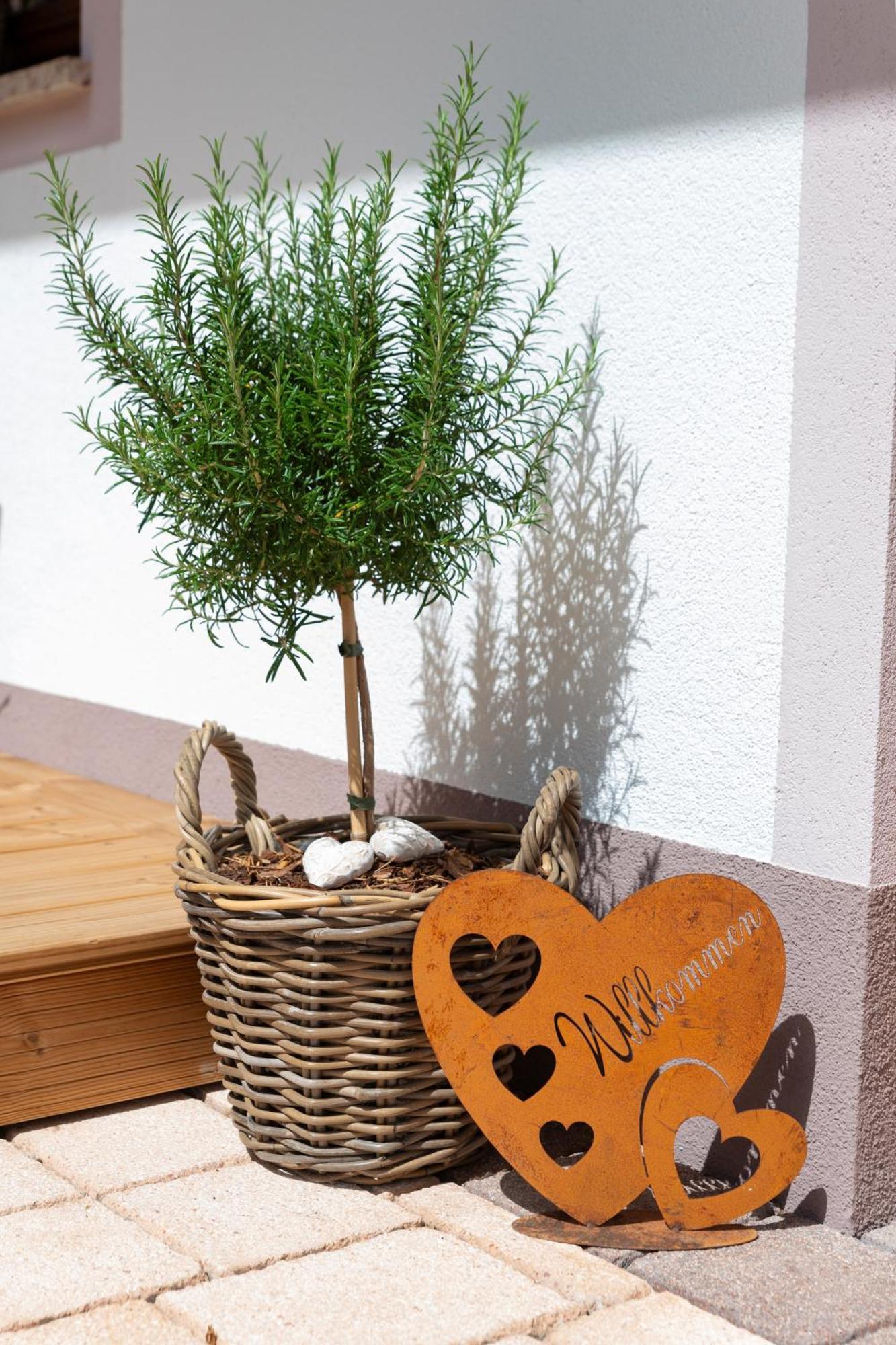 Auszeit Apartmán Alpbach